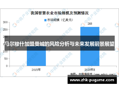 马尔穆什加盟曼城的风险分析与未来发展前景展望
